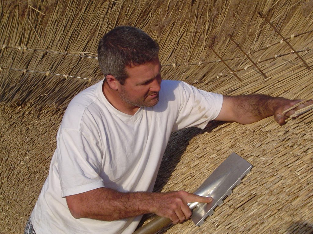 Roof thatcher dressing water reed with an aluminium legget.
