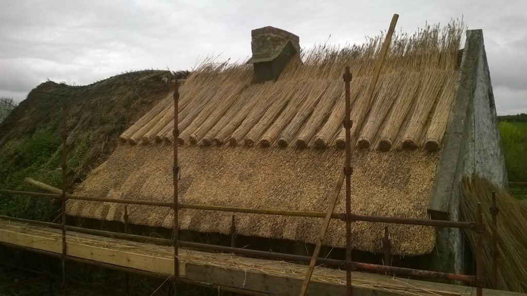 Water reed thatch on Roof